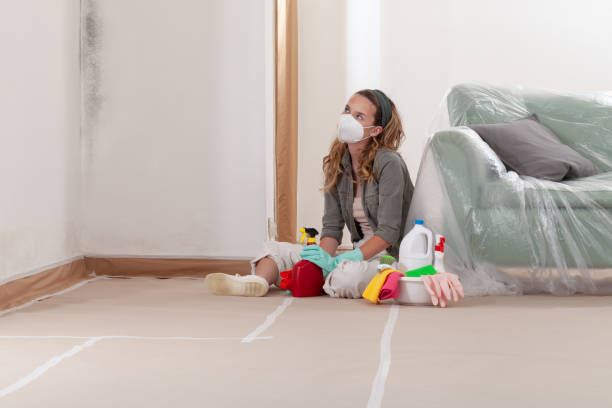 Reliable Black Mold Removal contractor in Grantsville, MD by WQB Mold Removal